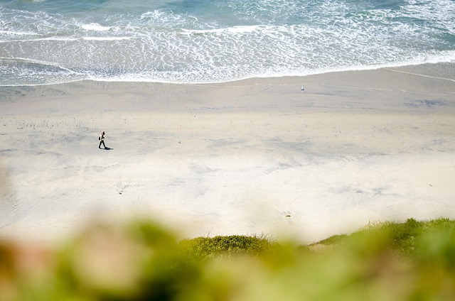 San Diego: Paraíso de Sol Eterno, Playas Infinitas y Aventuras sin Límites 🌞🏖️