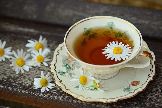 Green Tea: Nature’s Elixir for Wellness and Longevity 🍵