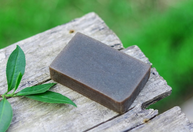 緑茶の驚くべき健康効果！体と心を癒す自然の薬として注目される緑の恵み🍵