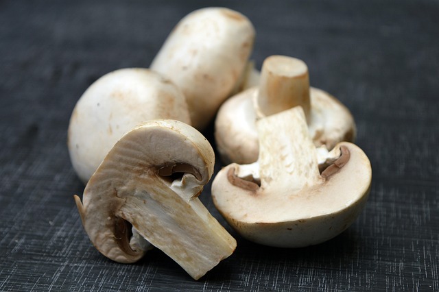 🍄 맛있는 버섯의 세계: 대지의 풍미를 담은 신비로운 요리 비법