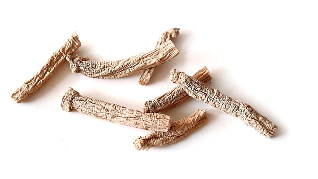 Medicina Herbal: Sanando con la Sabiduría Milenaria de la Naturaleza 🌿