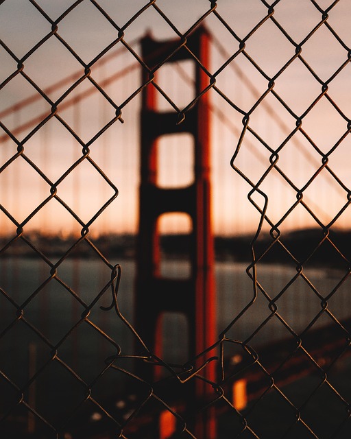 샌프란시스코 – 언덕과 다리, 혁신의 숨결이 살아 숨쉬는 도시 🌉
