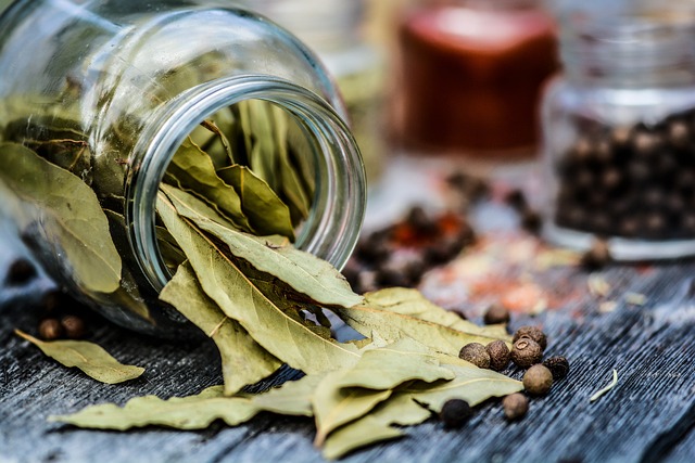 Laurel: El Secreto Aromático que Transforma tus Guisos con Sabor Ancestral 🌿